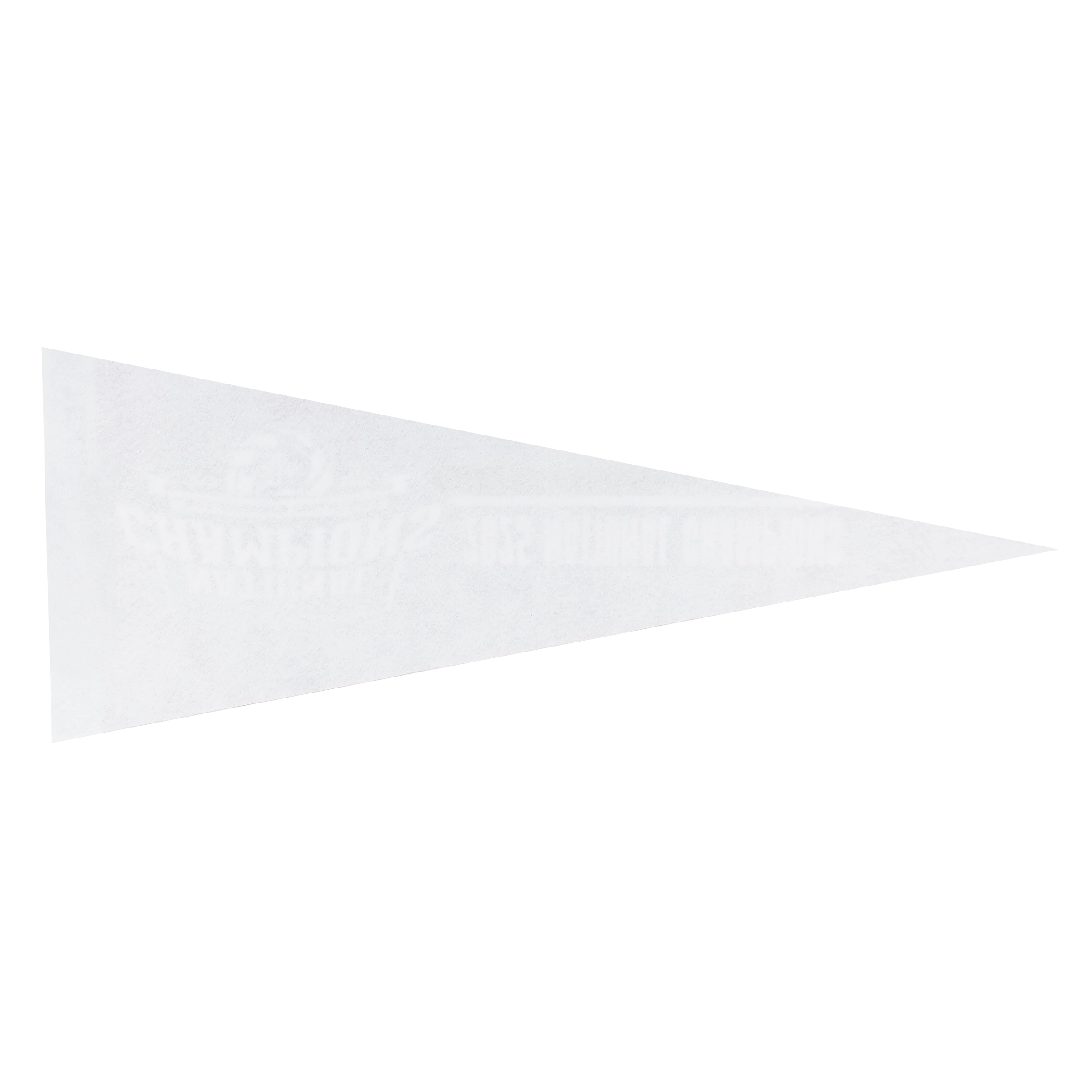 2025 Texas A&M Volleyball National Champs Pennant - Image 2