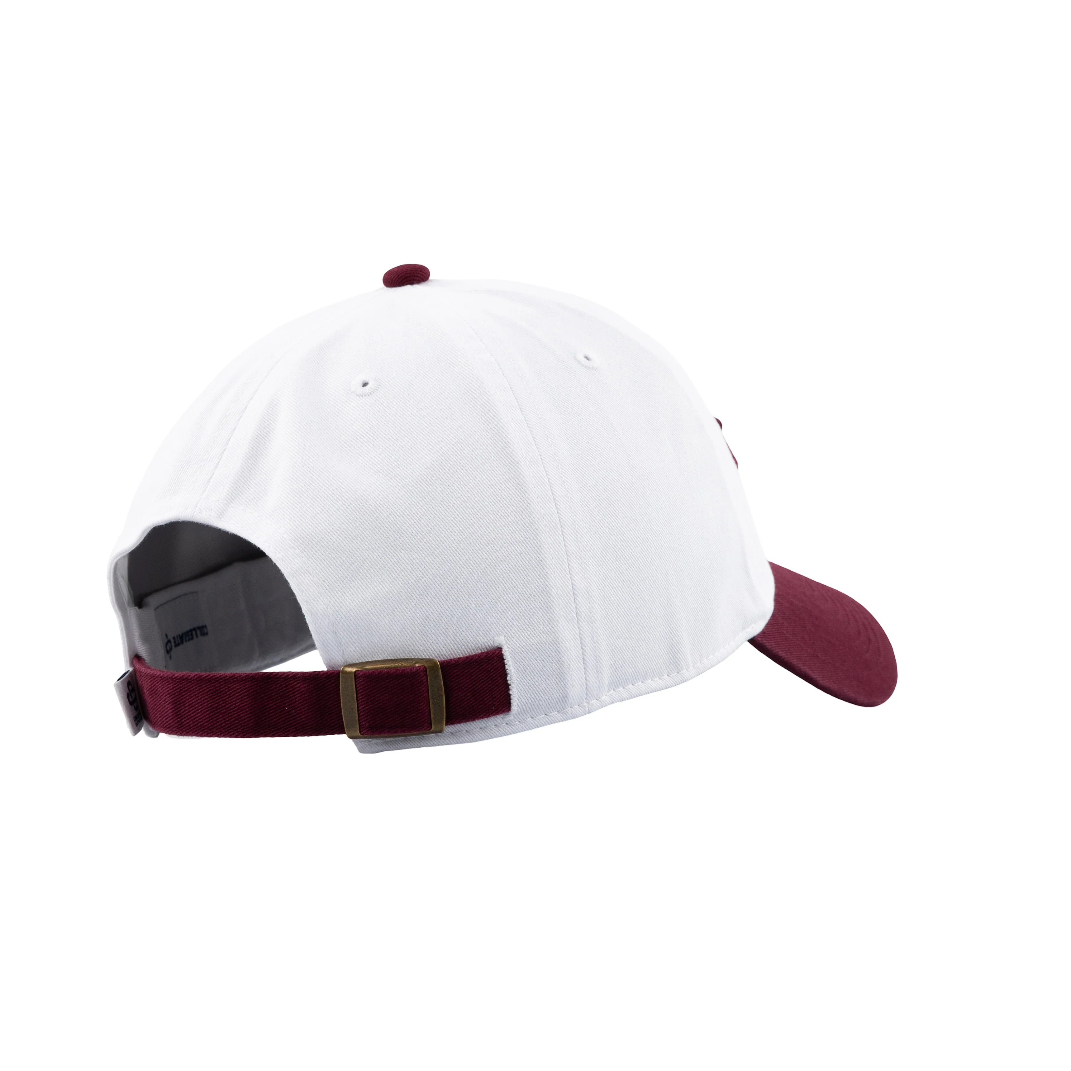 Aggies Texas Hat - Image 20
