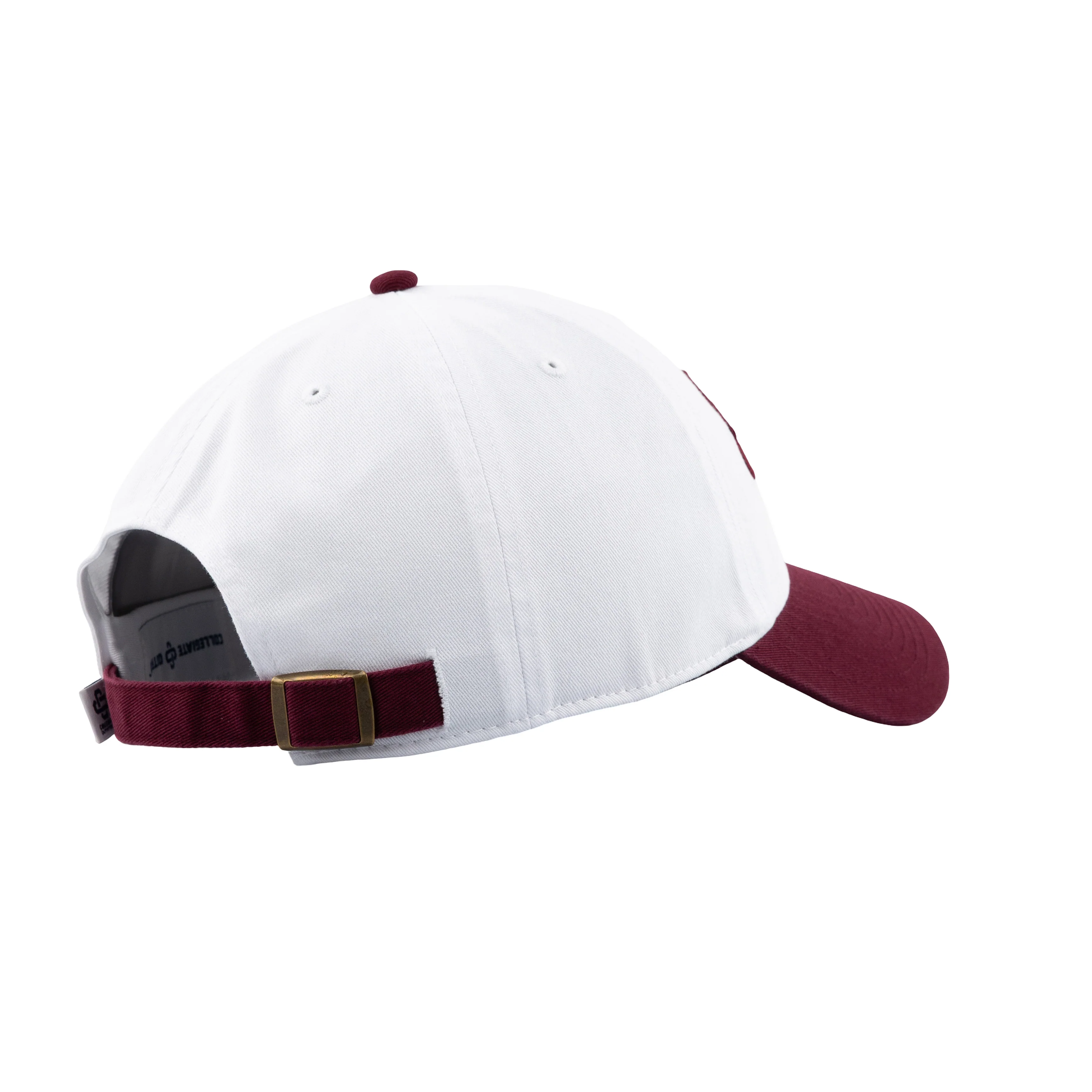 Aggies Texas Hat - Image 21