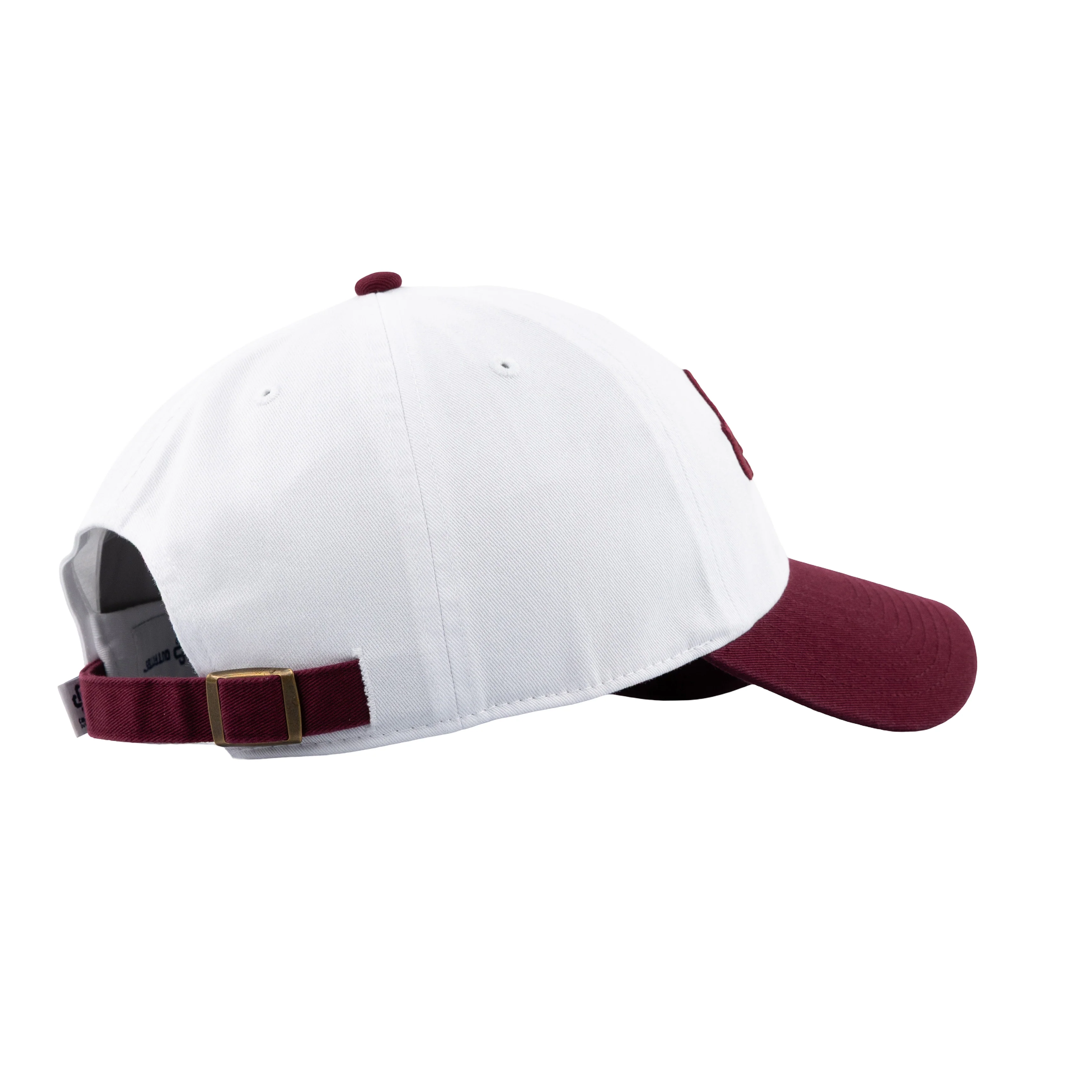 Aggies Texas Hat - Image 22