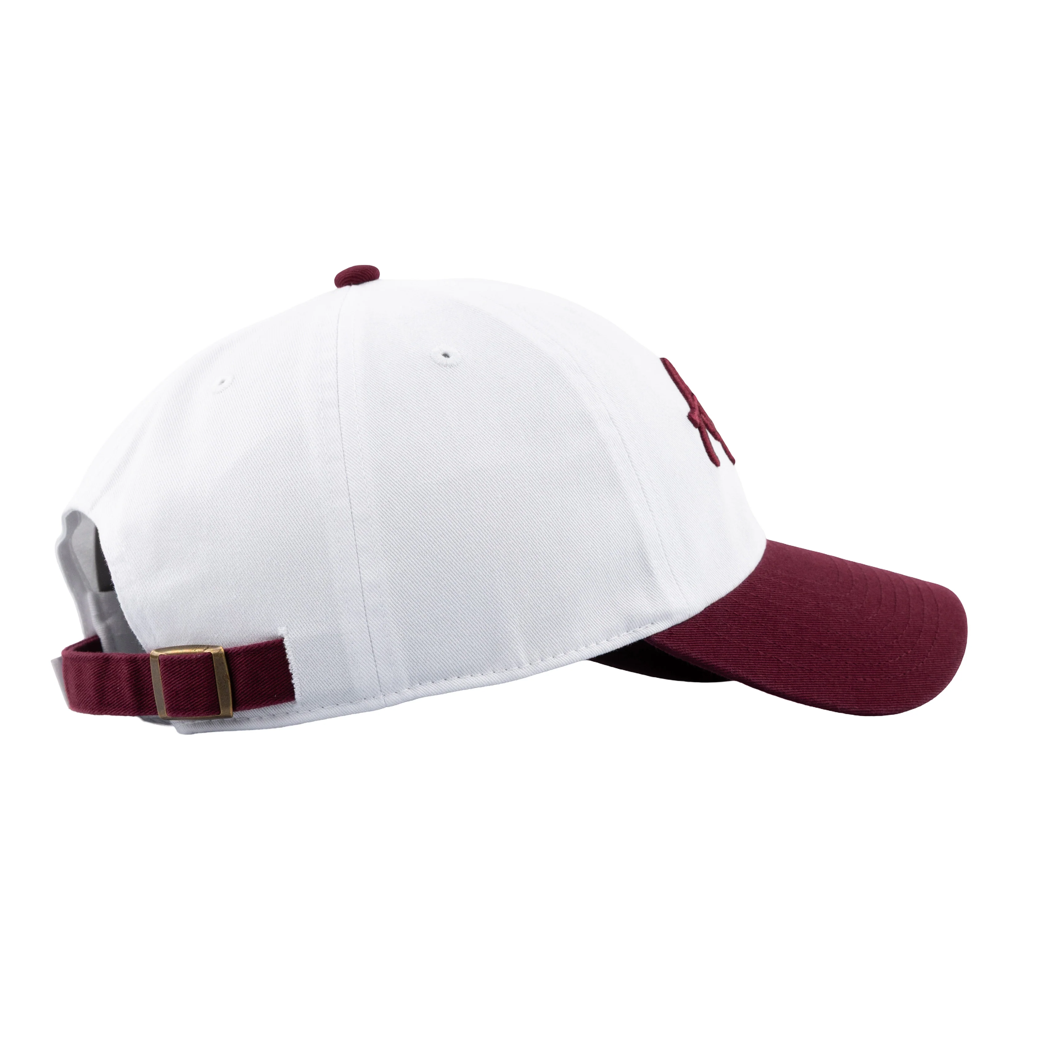Aggies Texas Hat - Image 23