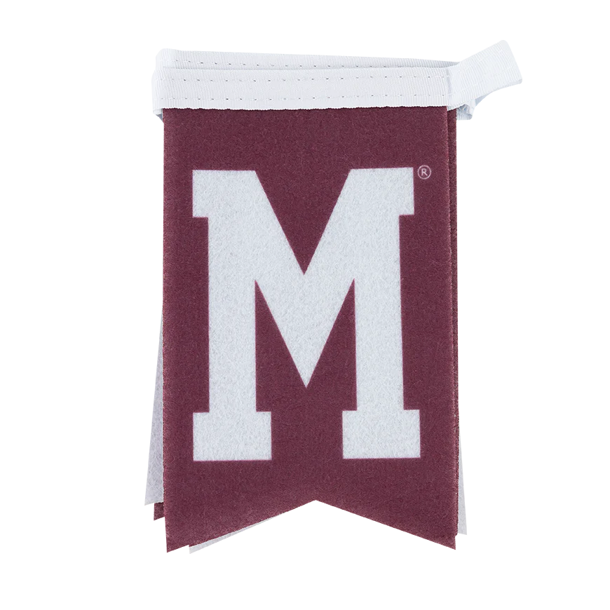 Texas A&M Bound Banner String - Image 4