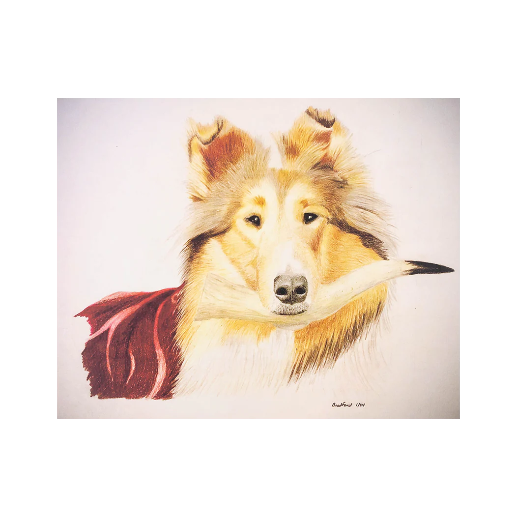 Canvas Print of Reveille with Longhorn 16x20