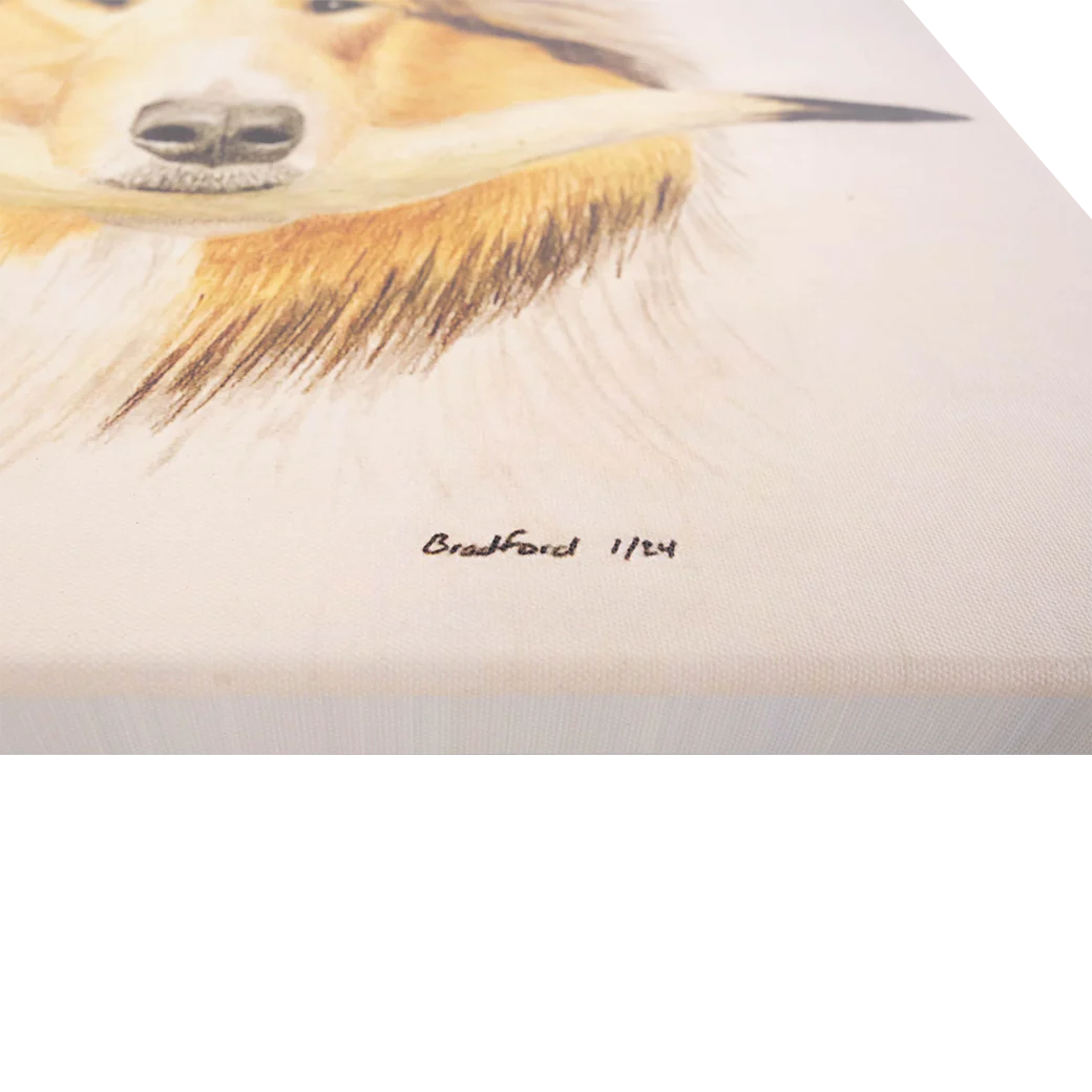 Canvas Print of Reveille with Longhorn 16x20 - Image 2