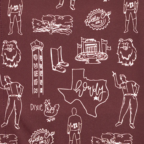 College Town Toiles The Gibson Button Down - Image 3