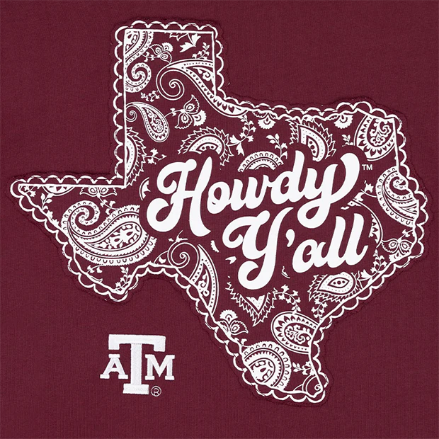 Collegiate Outfitters Texas Howdy Y'all T-Shirt - Image 6