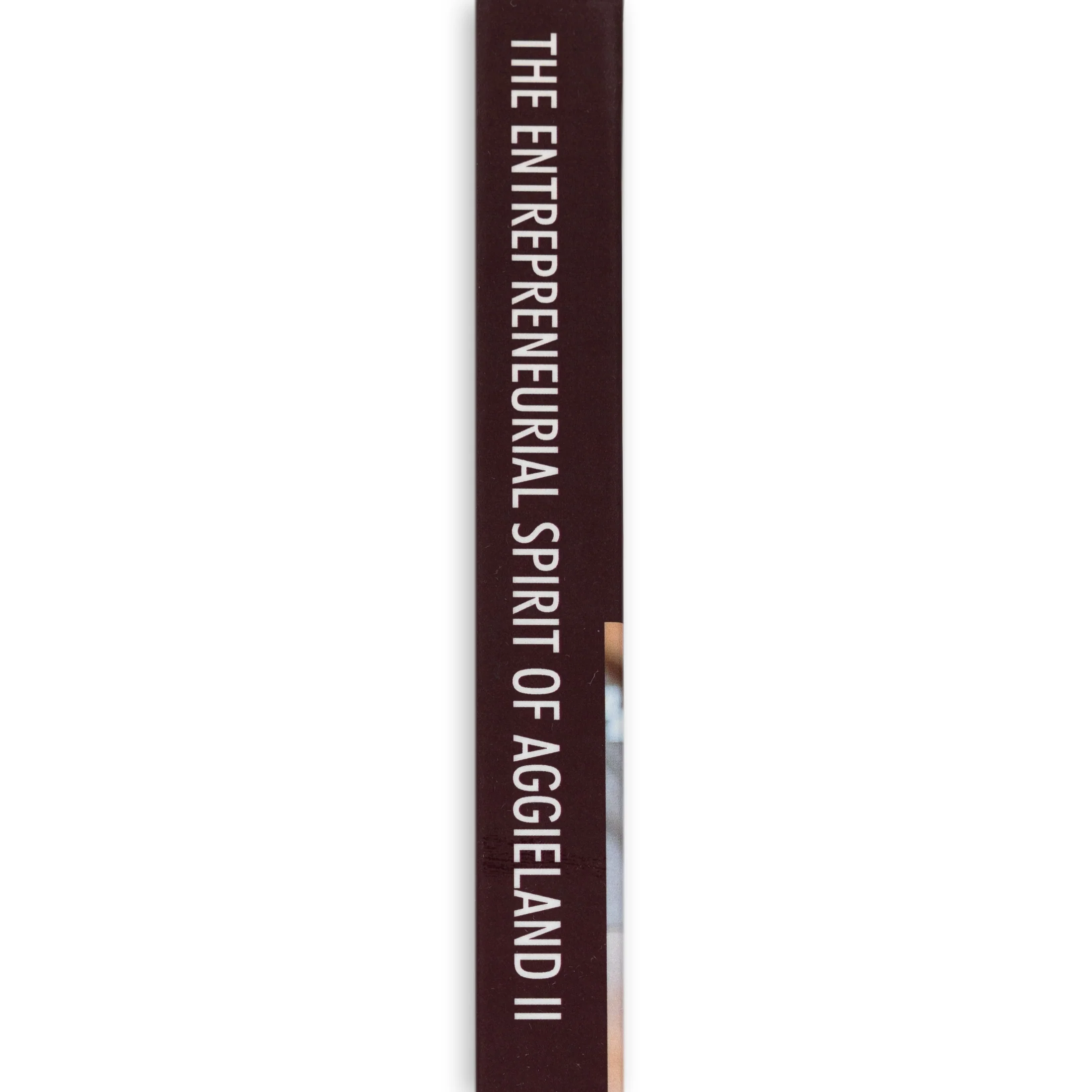 The Entrepreneurial Spirit Of Aggieland Ii - Image 3