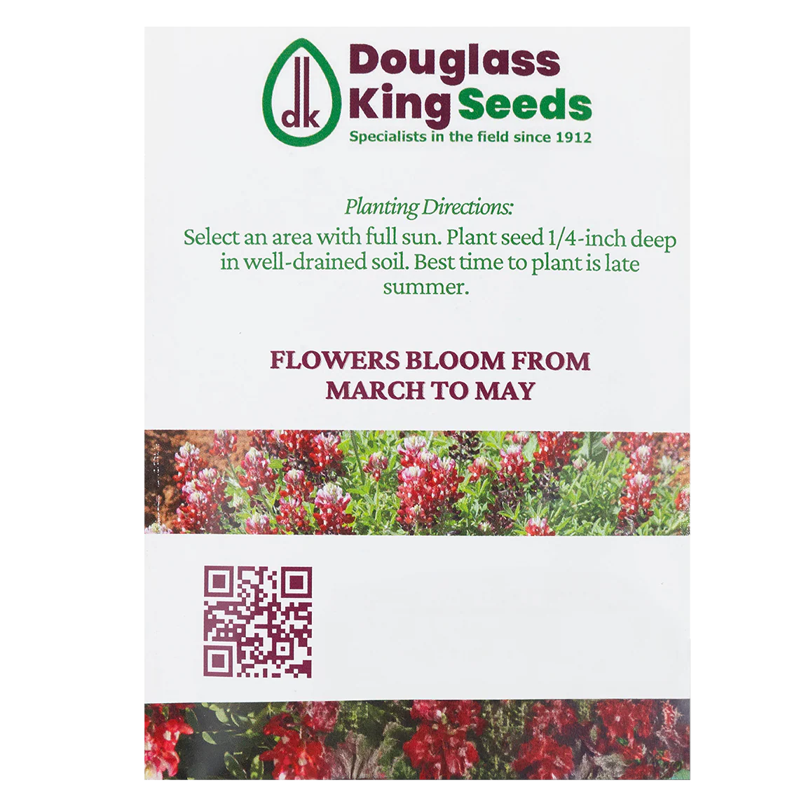 Maroon Bluebonnet Seeds - Image 3