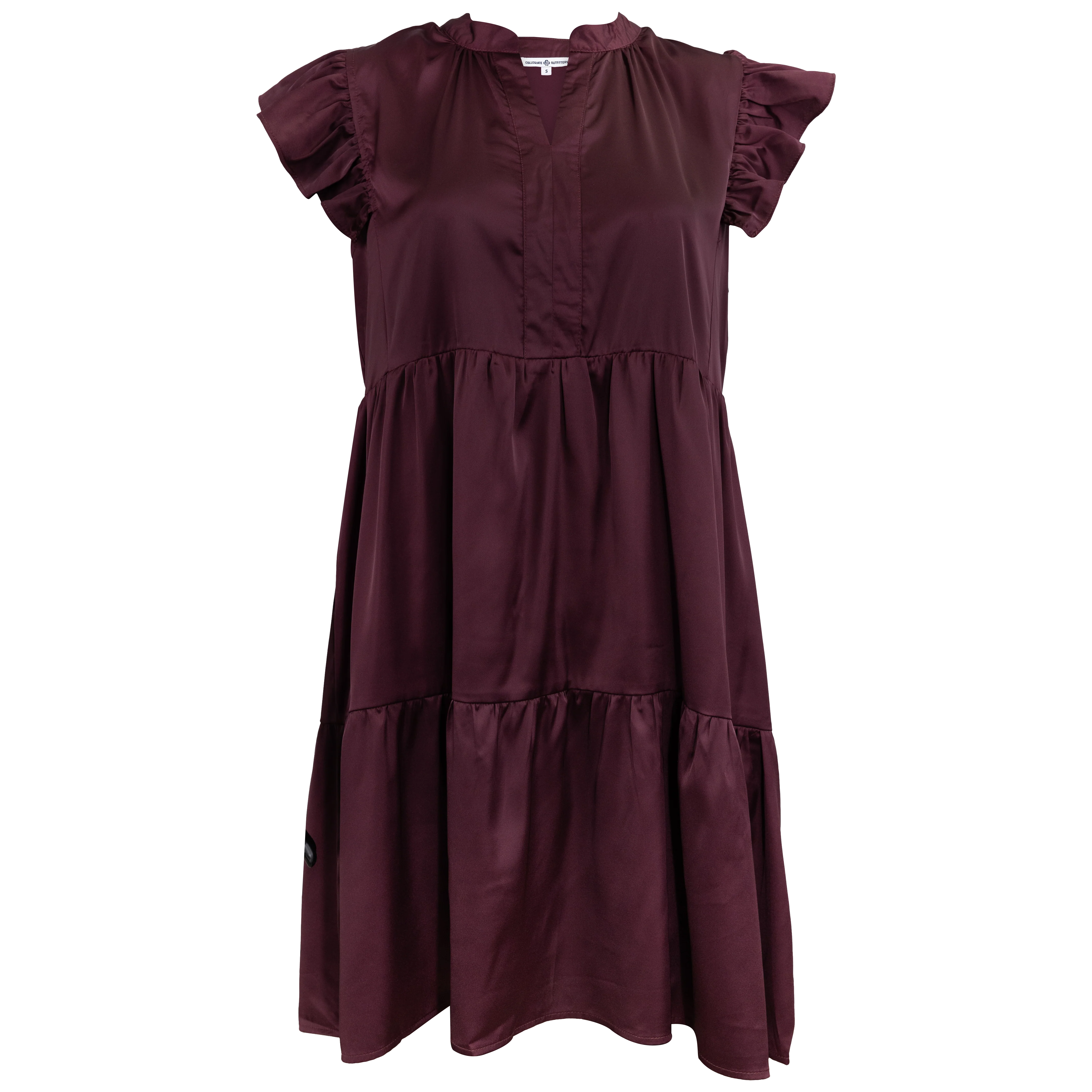 Ruffle Sleeved Silky Dress