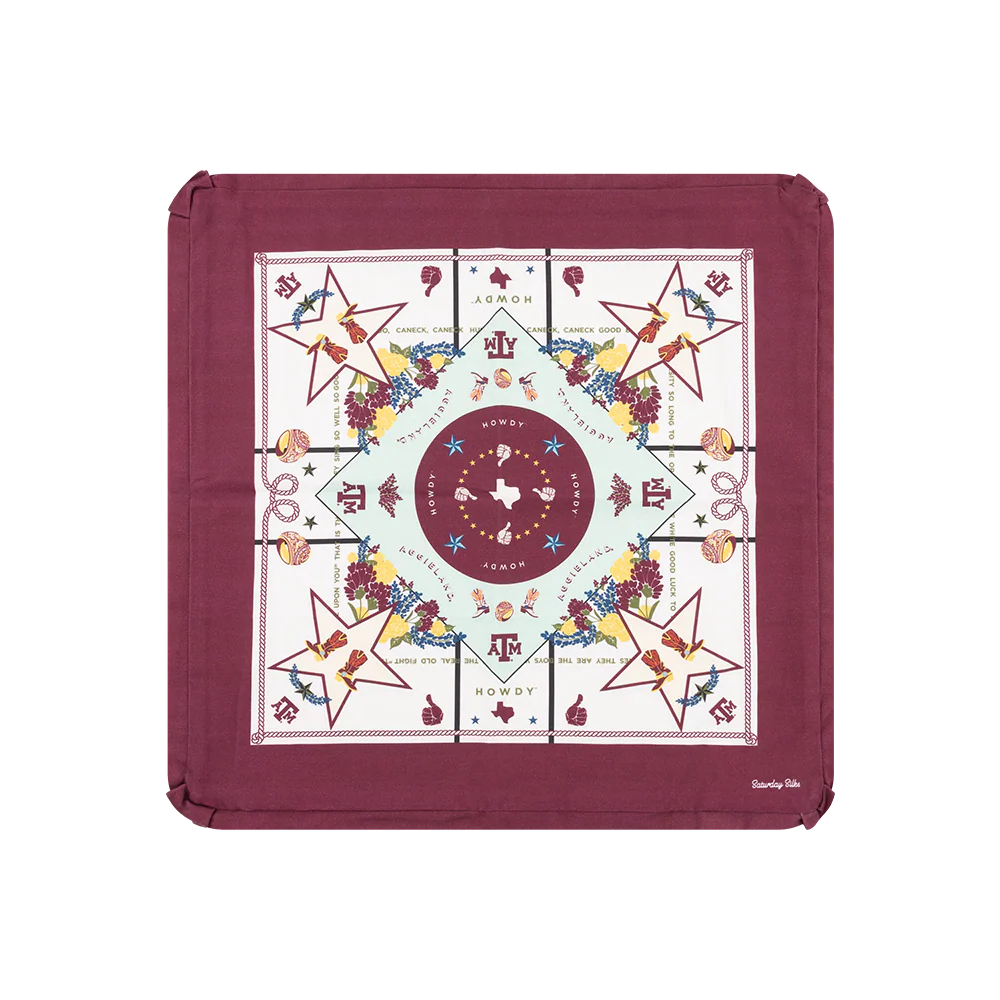 Saturday Silks Pillow Cover