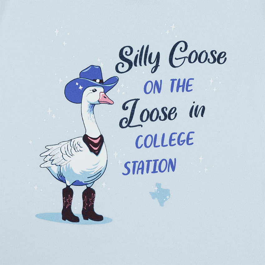 Silly Goose Baby Blue Youth T-Shirt - Image 2