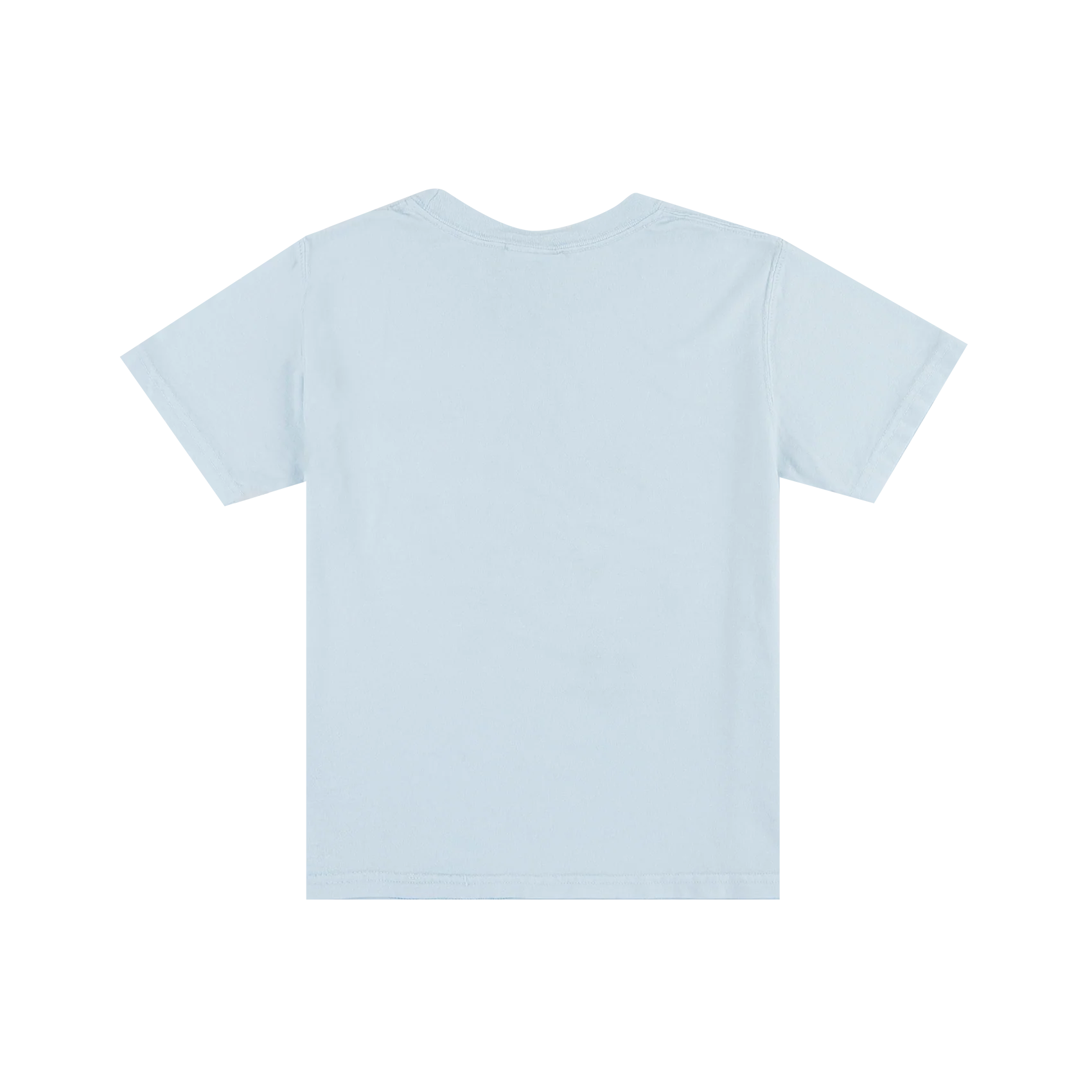 Silly Goose Baby Blue Youth T-Shirt - Image 3