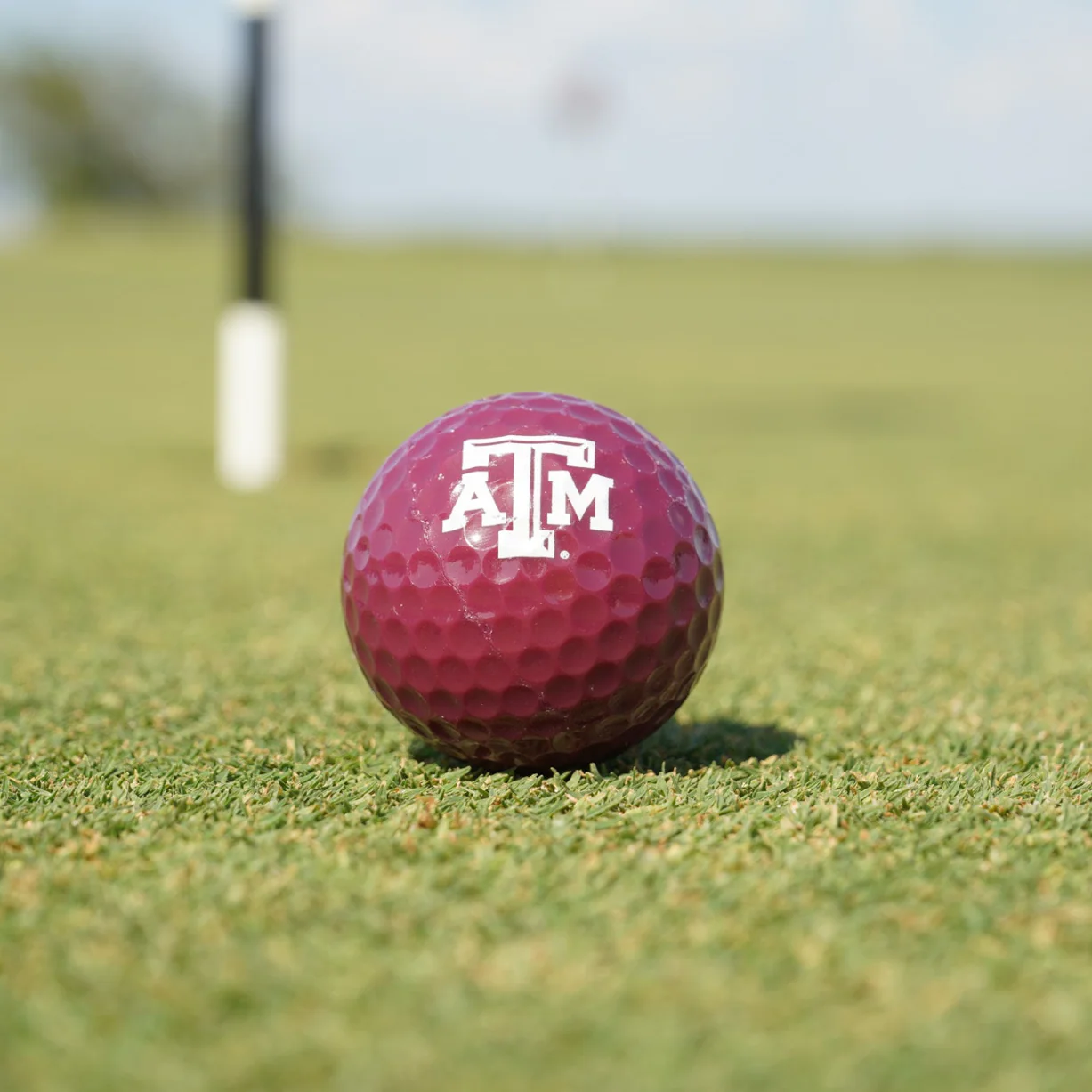 Texas A&M Aggie Maroon Golf Ball - Image 4
