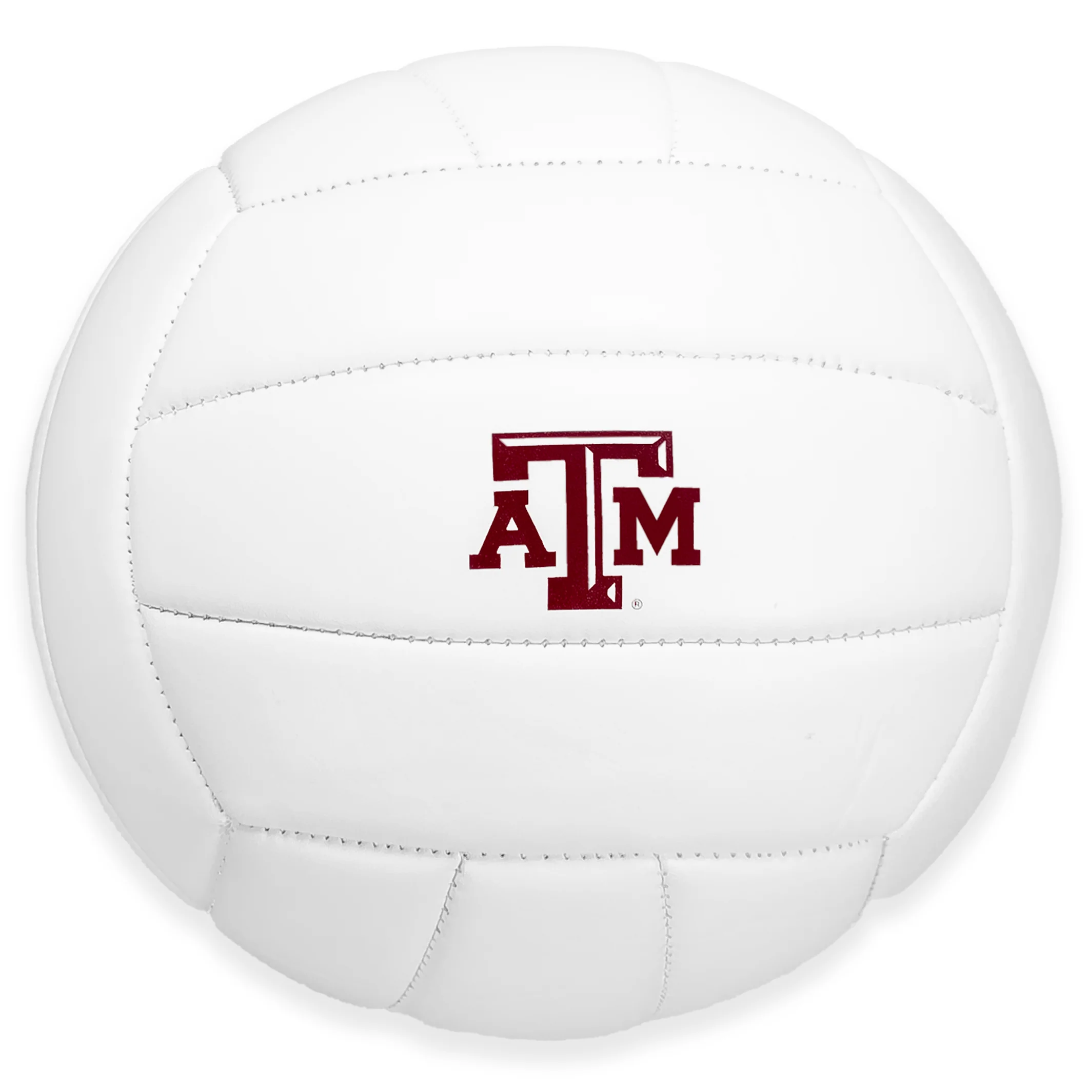 Texas A&M Baden Volleyball - Image 6