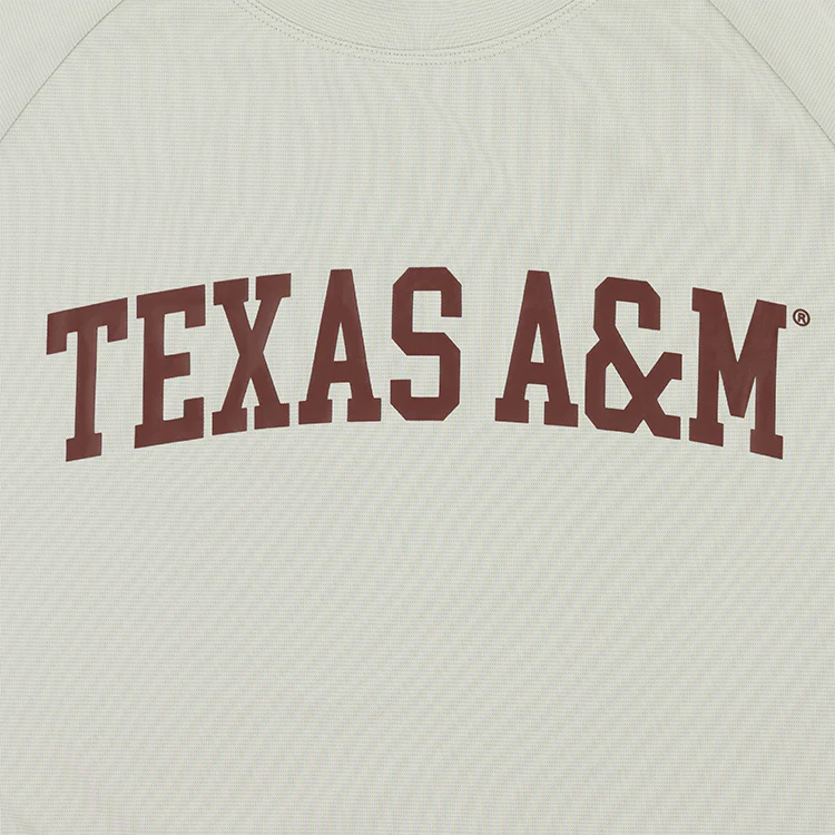 Texas A&M Collegiate Outfitters Arch T-Shirt - Gray - Image 3