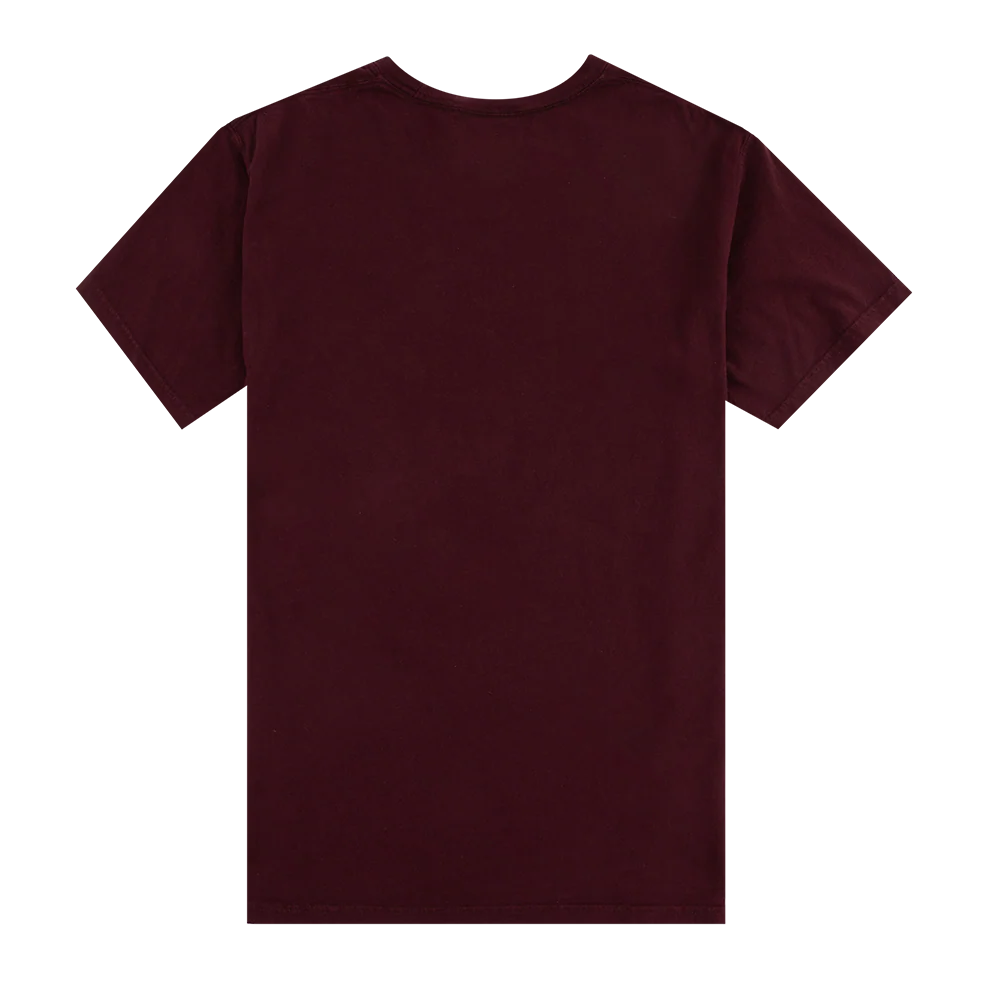 Texas A&M Hanes Aggies Fire T-Shirt - Maroon - Image 3