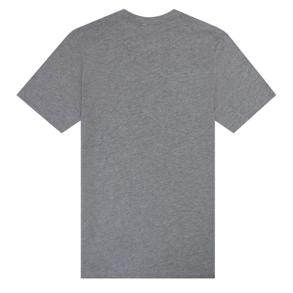 Grey Tonal Aggieland T-Shirt - Image 3